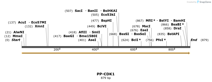 11586_map