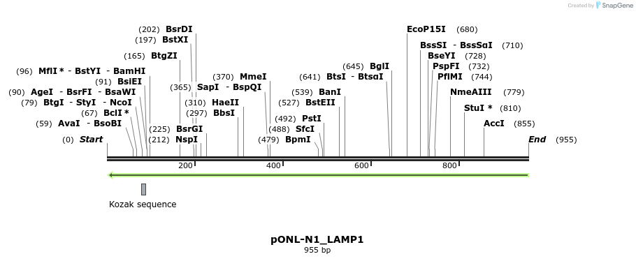 115870_map