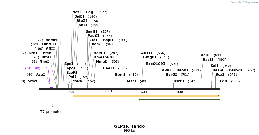 115873_map