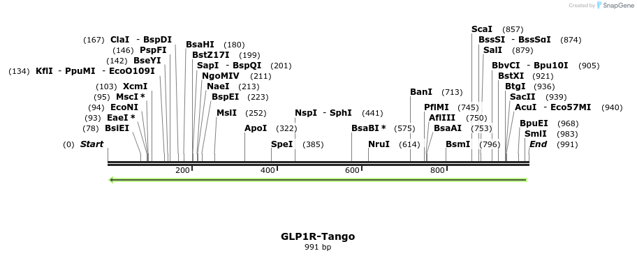 115874_map