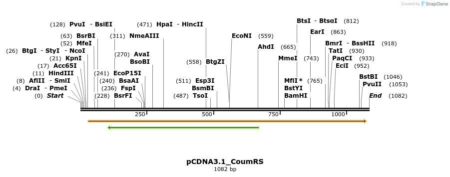 115880_map