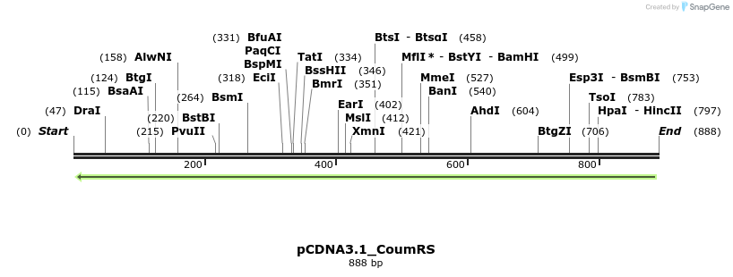 115881_map
