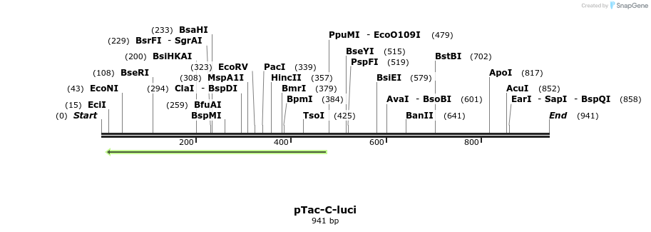 115904_map