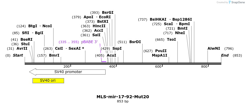 115906_map