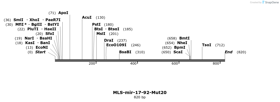 115907_map