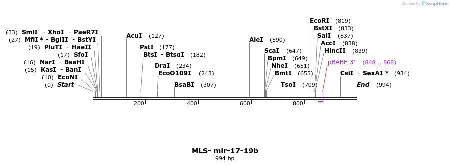115909_map