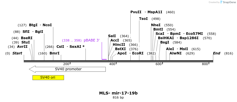 115911_map