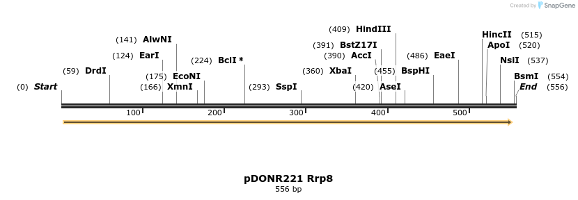 115912_map