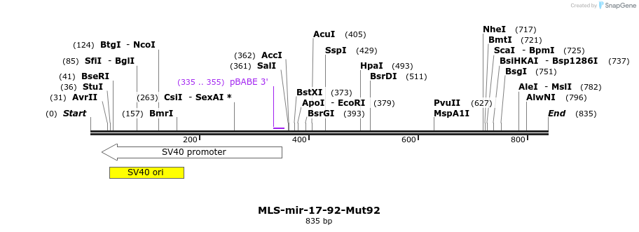 115915_map