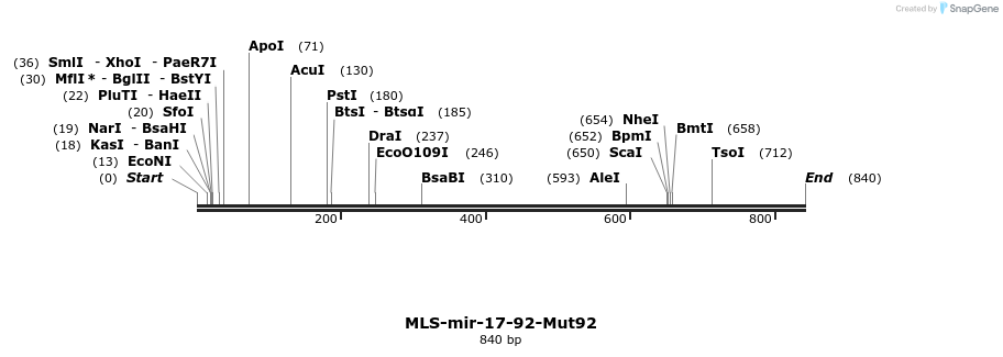 115916_map