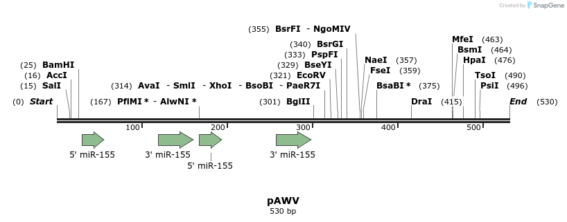 115920_map