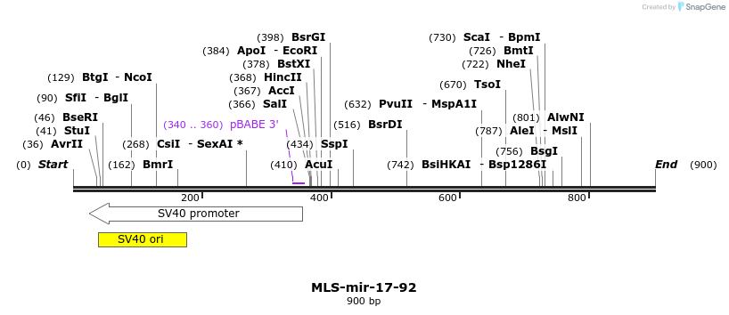 115923_map