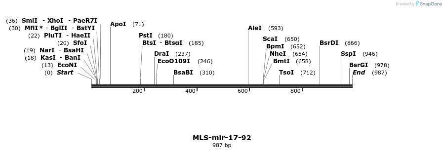 115924_map