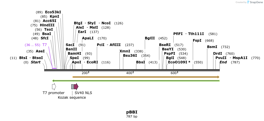 115925_map