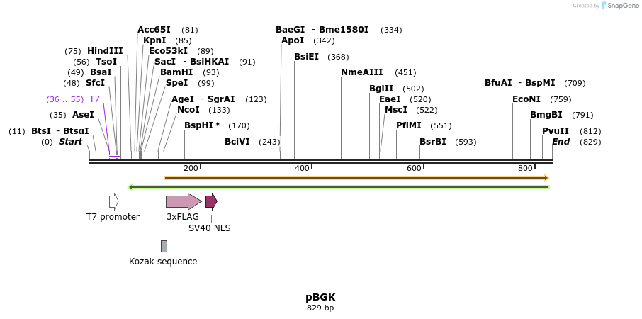 115926_map