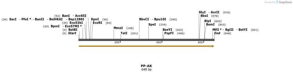 11593_map