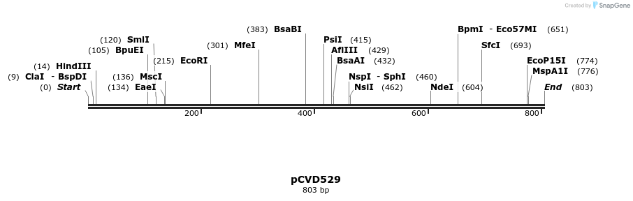 115930_map