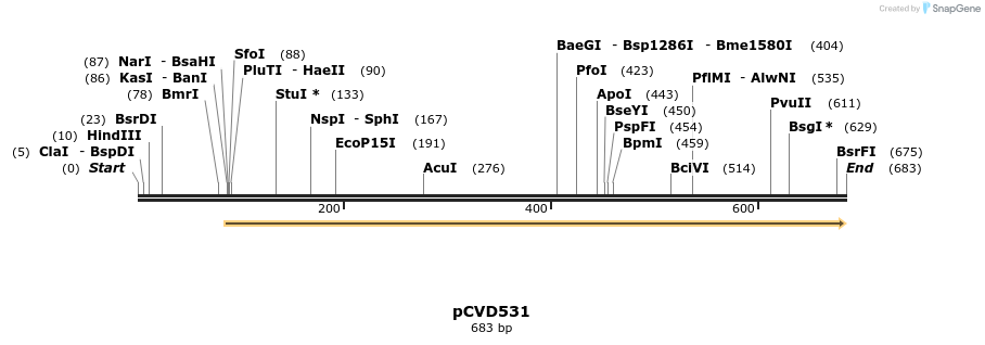 115932_map