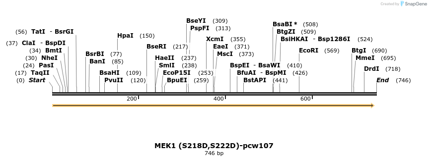 115933_map