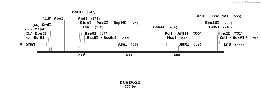 115934_map