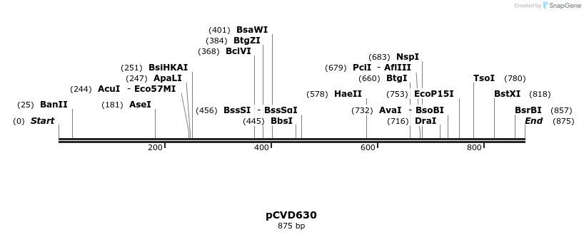 115935_map