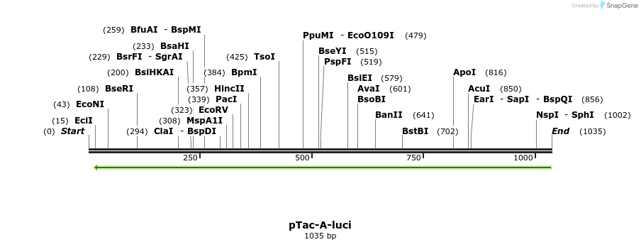 115937_map