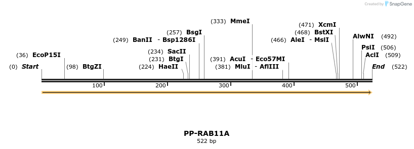 11594_map
