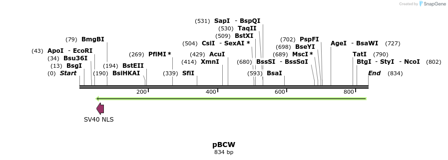 115940_map
