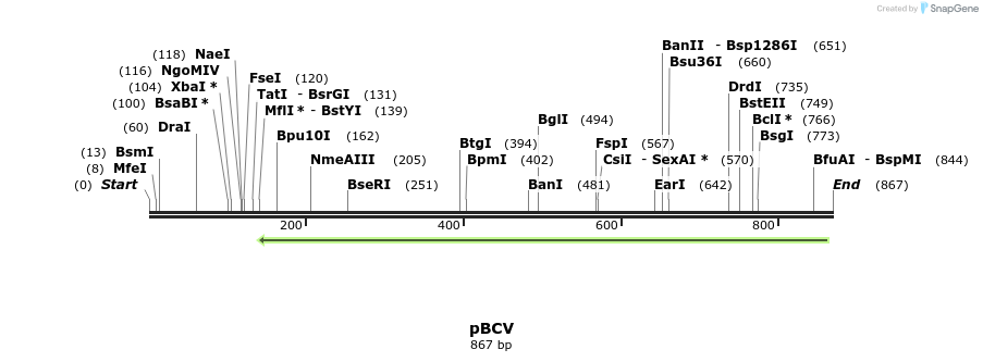 115942_map