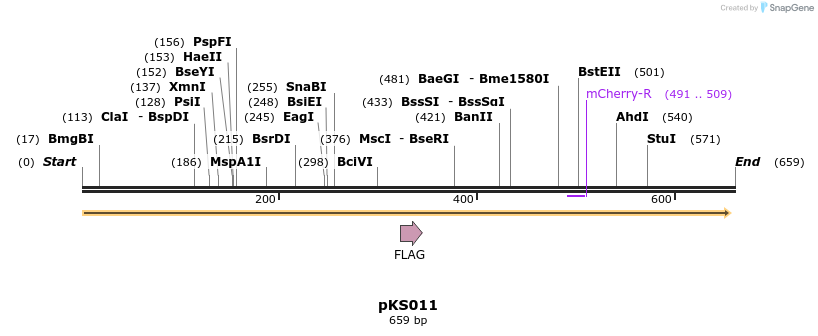 115949_map
