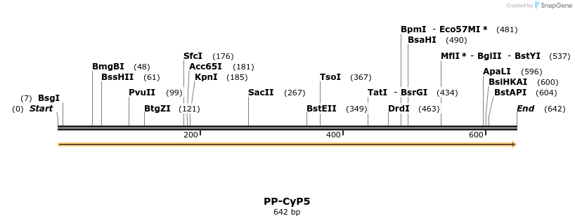 11595_map