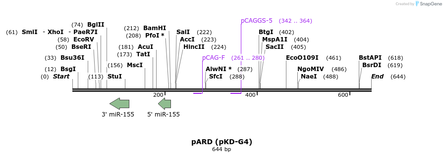 115958_map