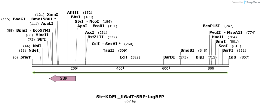 115961_map