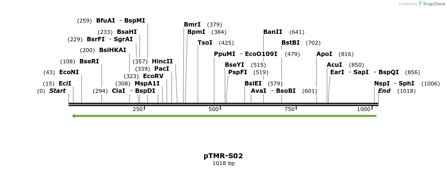 115967_map