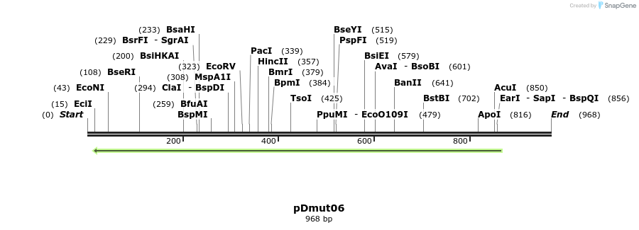 115968_map