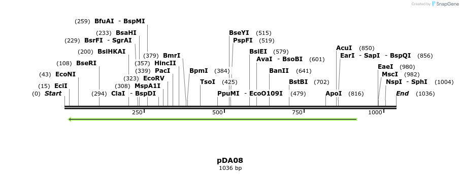 115969_map