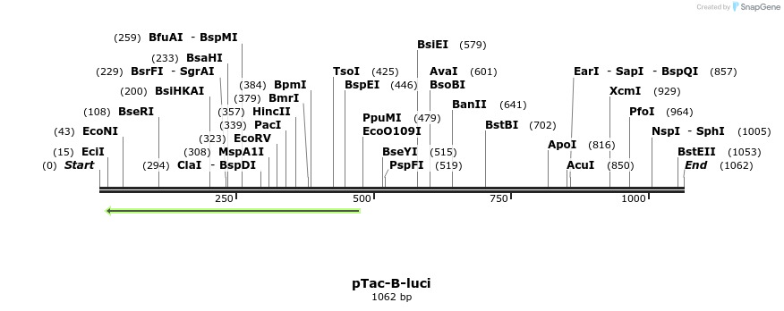 115970_map