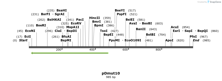 115971_map