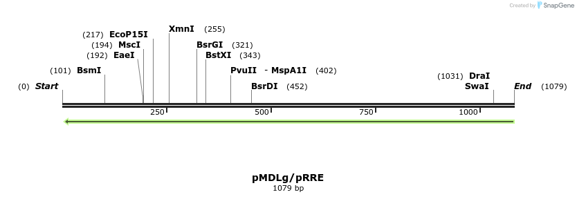 115975_map