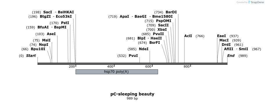 115984_map