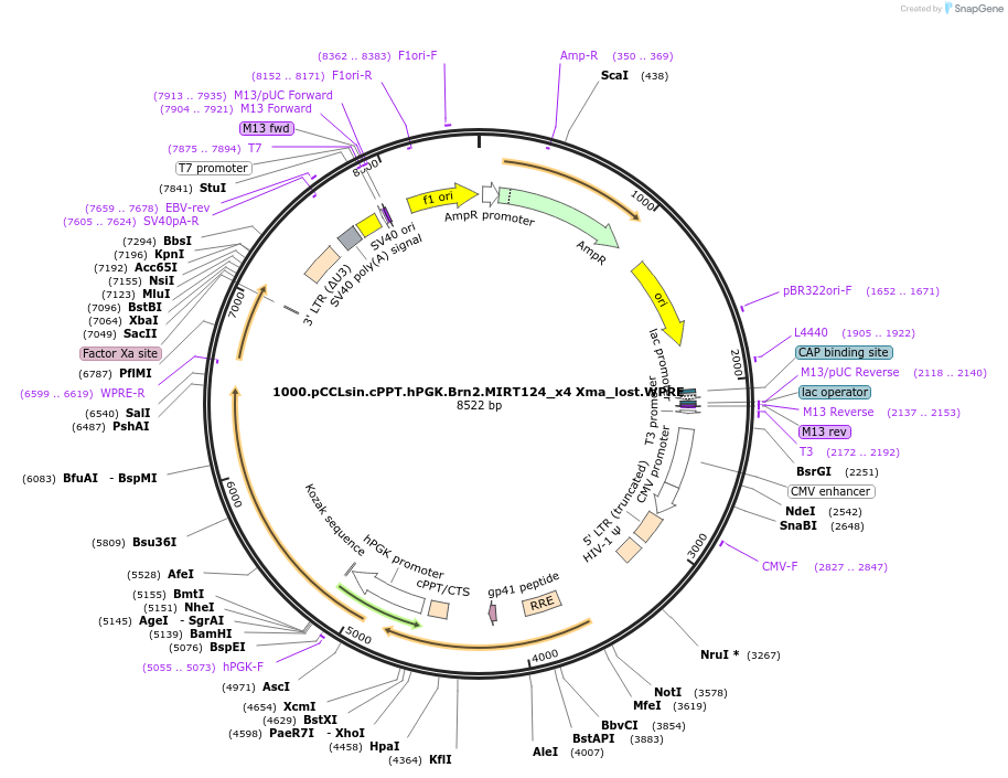 115988_map