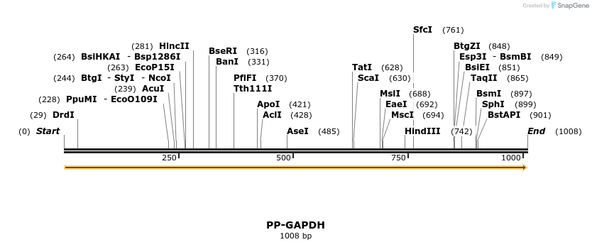 11599_map