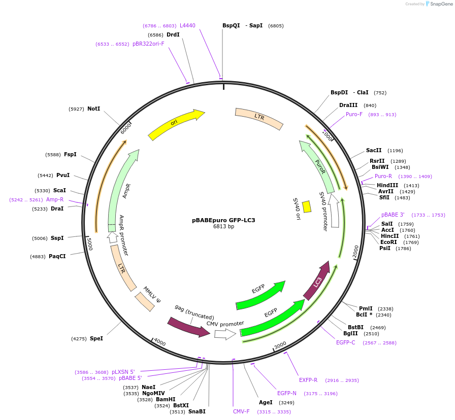115993_map