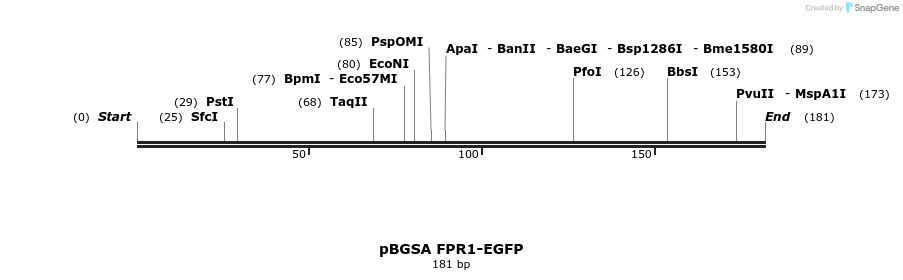 115997_map
