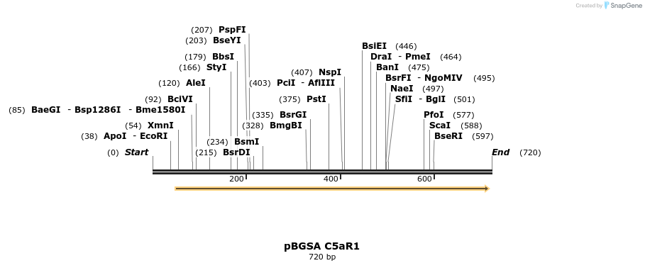 115999_map