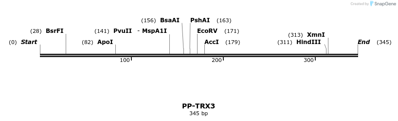 11600_map