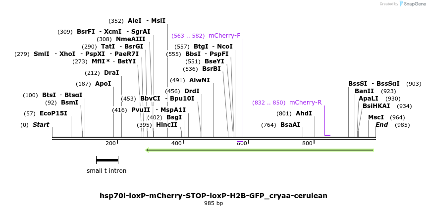 116012_map