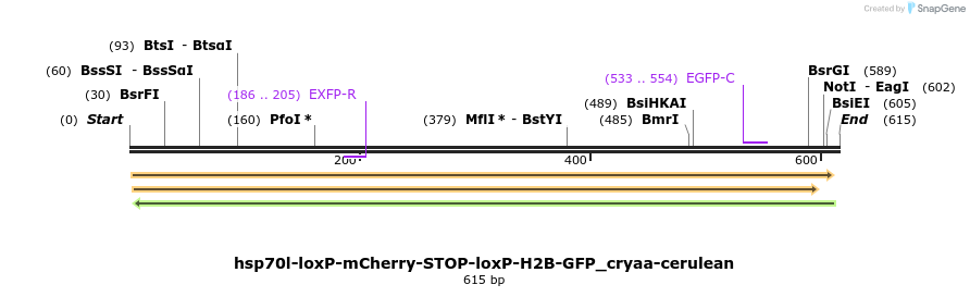 116014_map