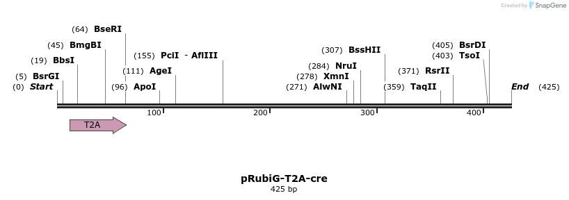116015_map