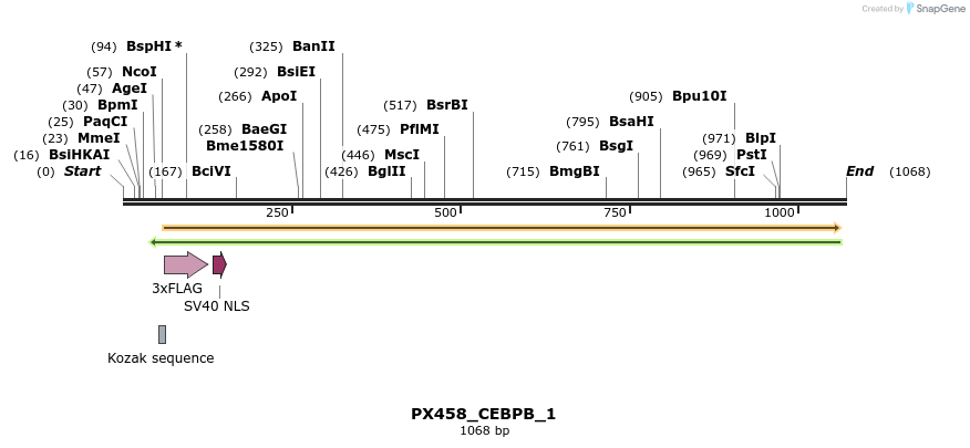 116018_map